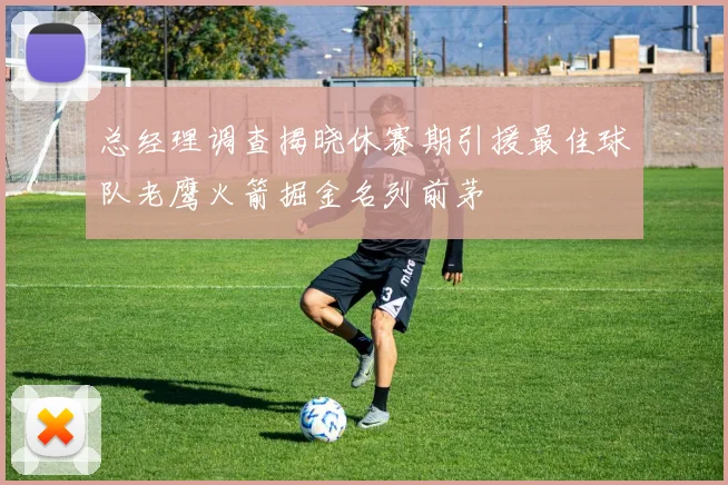 总经理调查揭晓休赛期引援最佳球队老鹰火箭掘金名列前茅