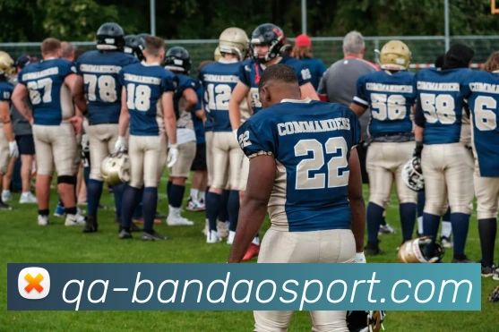 半岛足球体育服务体系